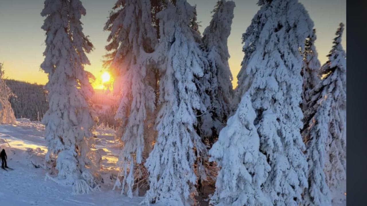 Fewo Jaeger Виллинген Экстерьер фото